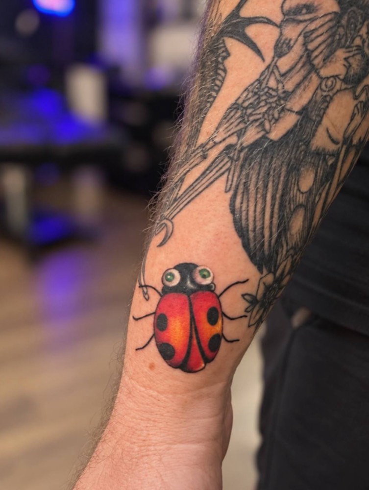 Ladybird and crow forearm